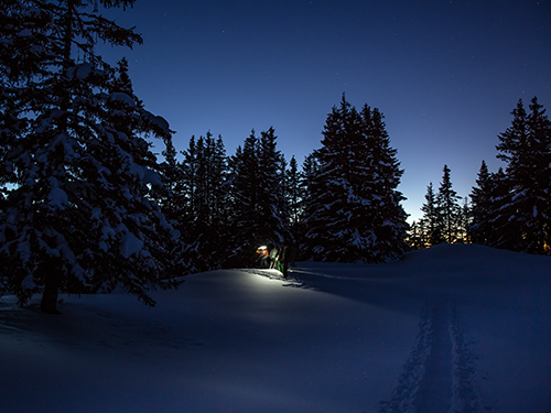 snowshoes evening in chamonix with a guide