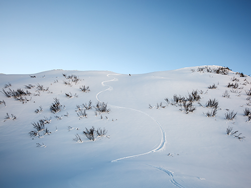 off-piste skiing in chamonix with a ski guide